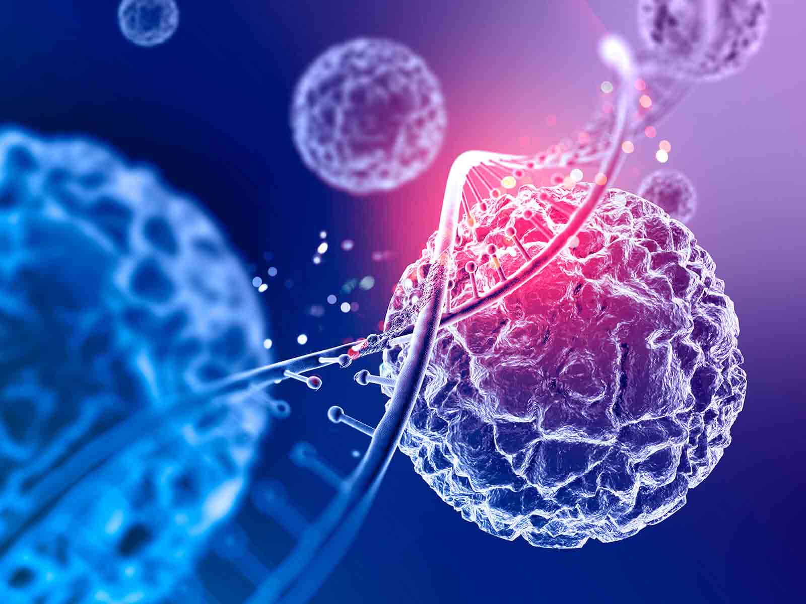 Regulation of Gene Expression